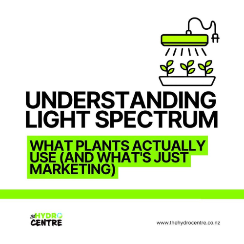Understanding Light Spectrum: It's Not Just About Wattage