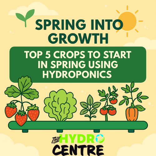 🌱 Spring Into Growth: Top 5 Crops to Start in Spring