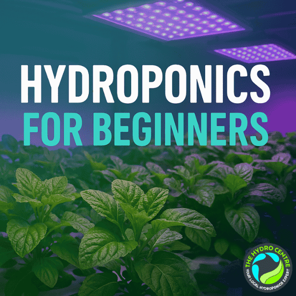 Hydroponics for Beginners