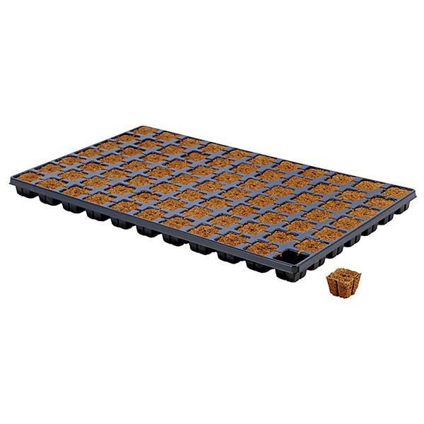 Eazy Plug CT77 Tray