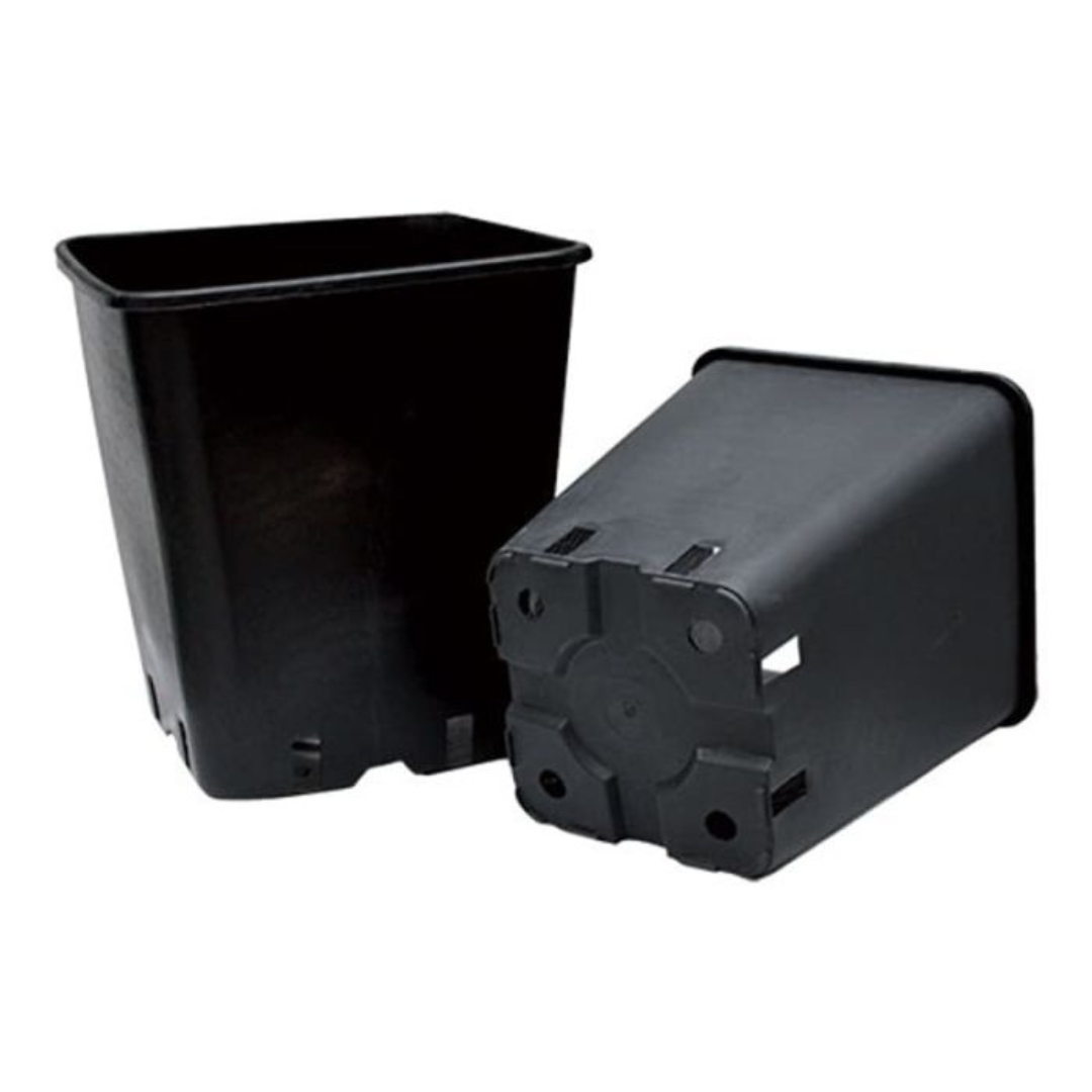 11ltr Square Plastic Pot