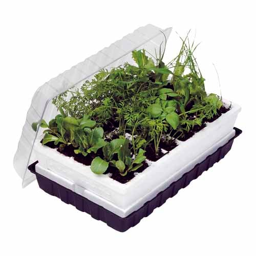 Parasene Self Watering Propagation Tray