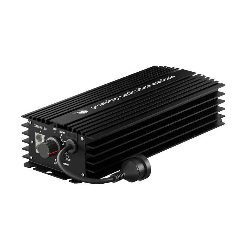 600w Digital Ballast