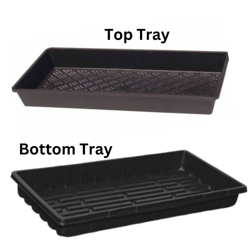 Microgreen Tray Set - 530mm x 270mm x 62mm