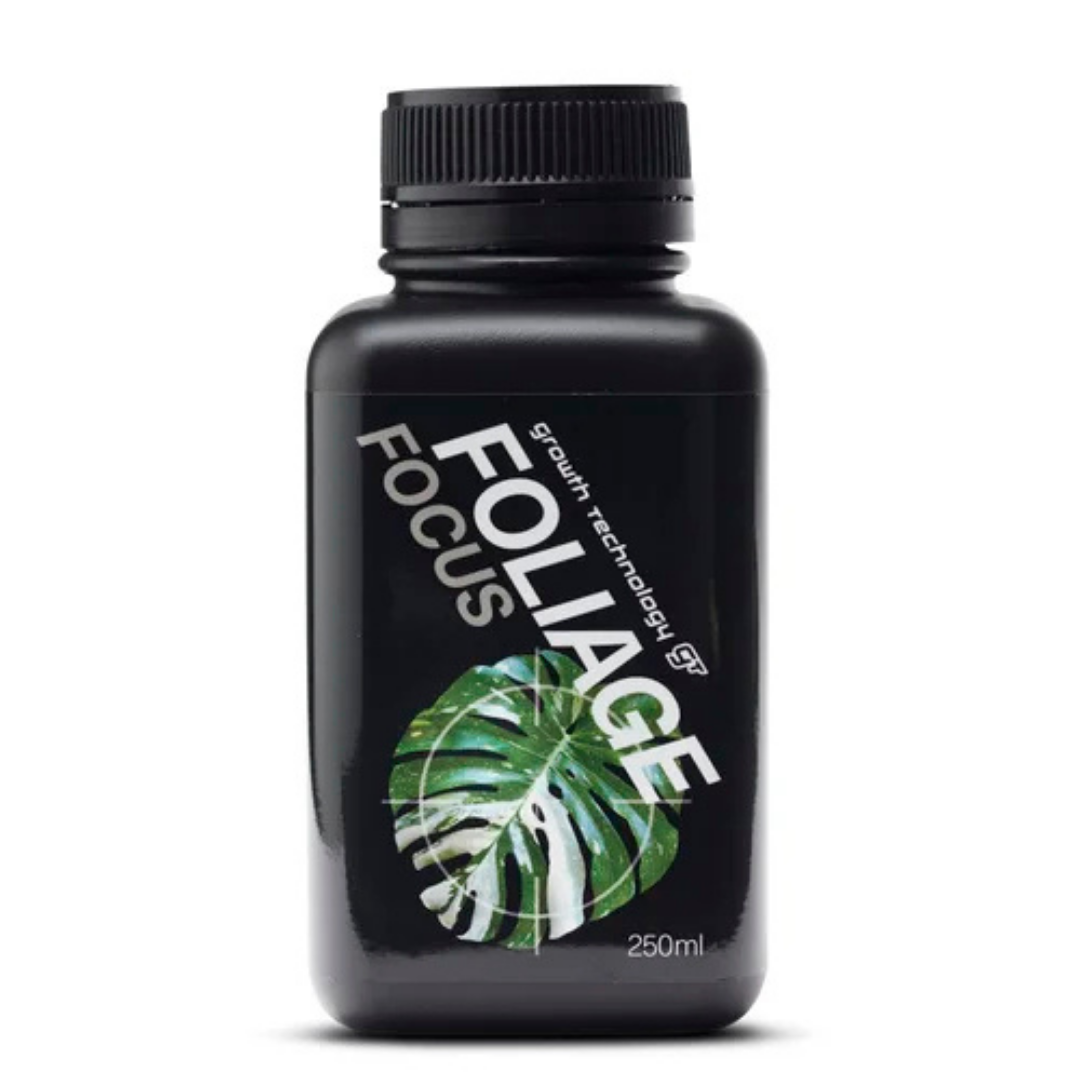GT Foilage Focus