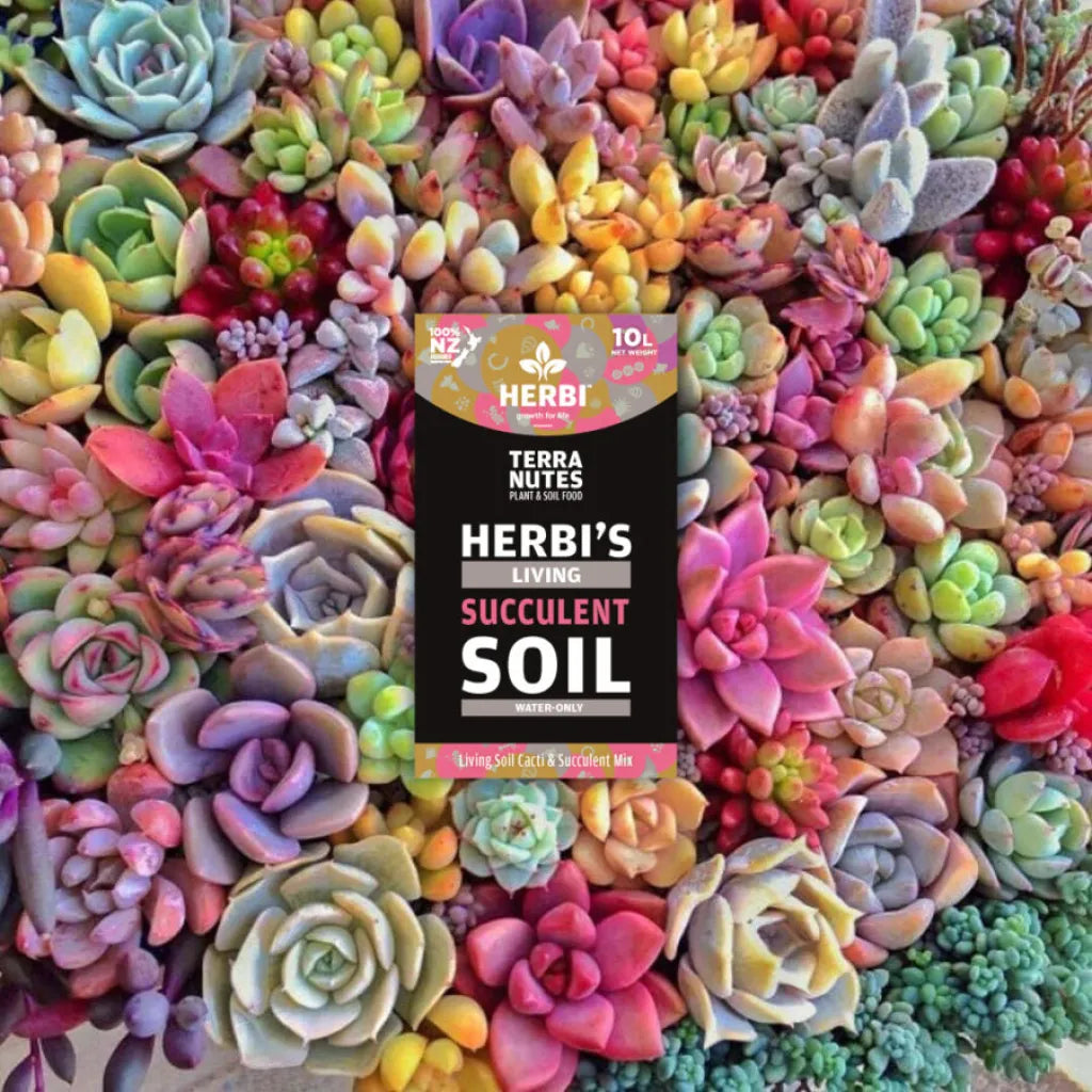 Herbi's Living Soil Succulent & Cacti Mix