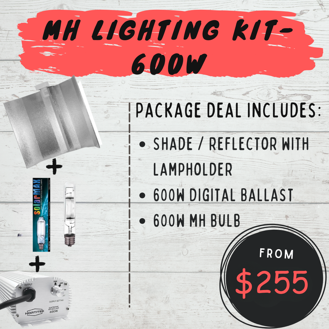 MH Lighting Kit Set - 600w