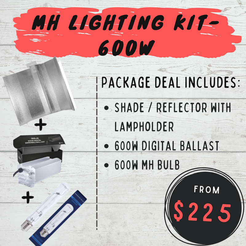 MH Lighting Kit Set - 600w