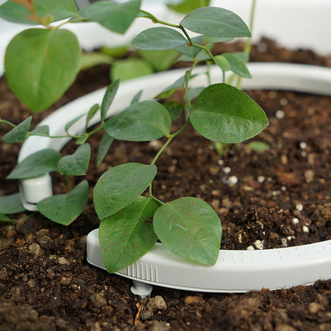 Netafim Netbow Ring Feeder