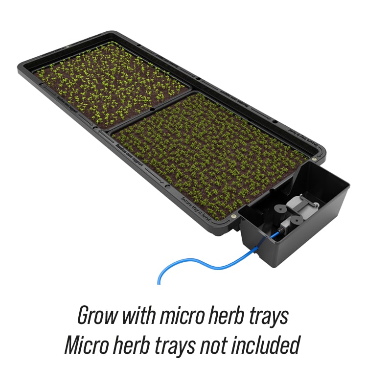 Autopot Tray2grow System