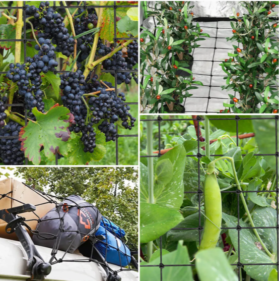 Vivosun Elastic Trellis Netting