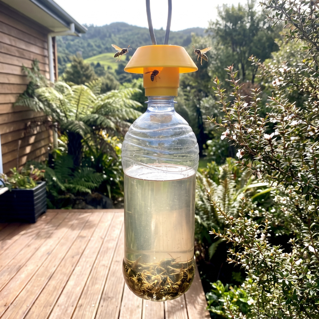 Reusable Bee Safe Wasp Trap