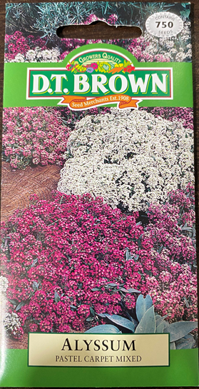 Alyssum - Pastel Carpet Mixed