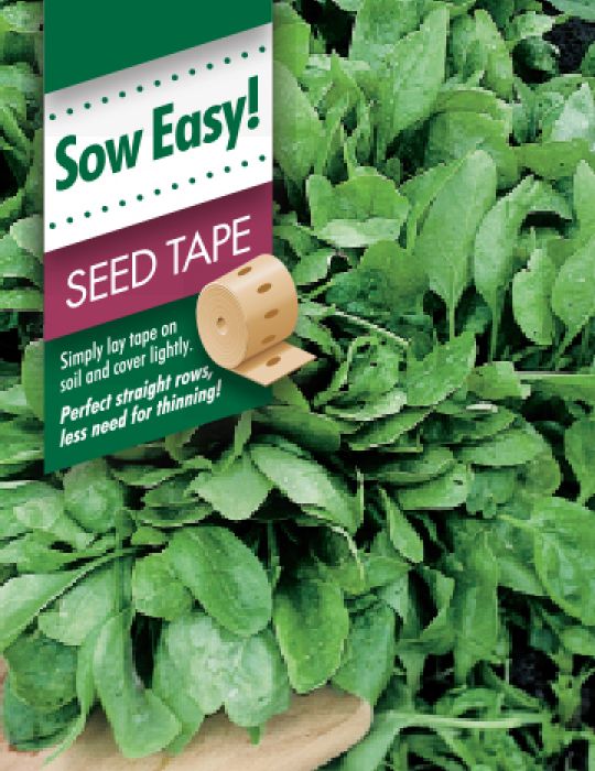 Spinach Viking Seed Tape