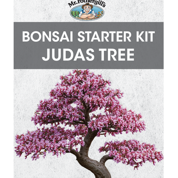 Bonsai Starter Kit