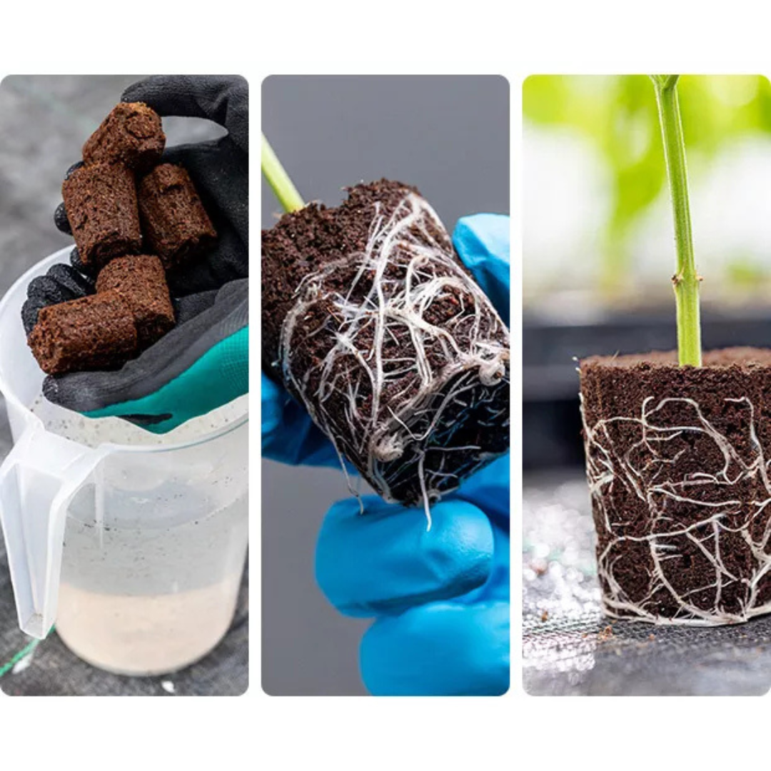Canna Rootplugs