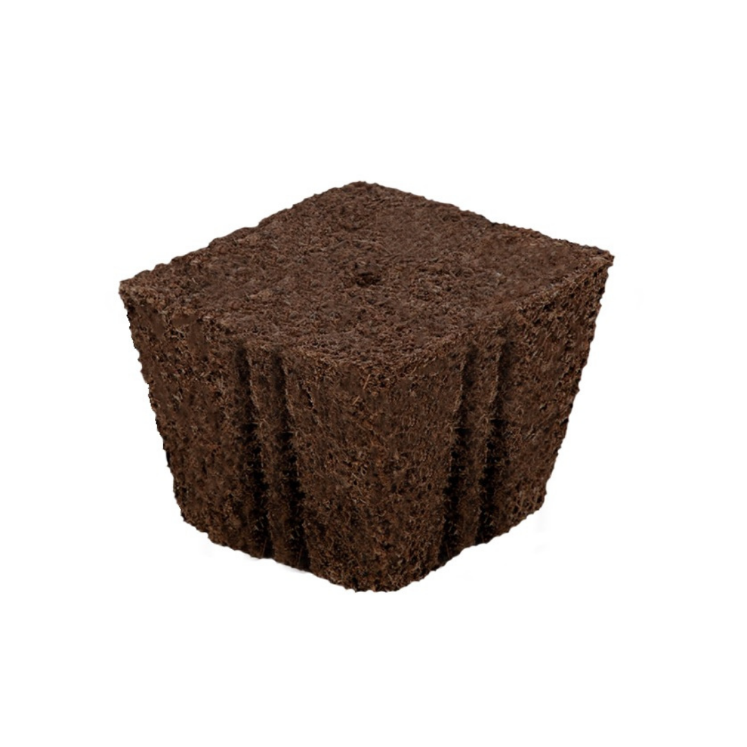 Nutrifield Coco Plug 72 Tray