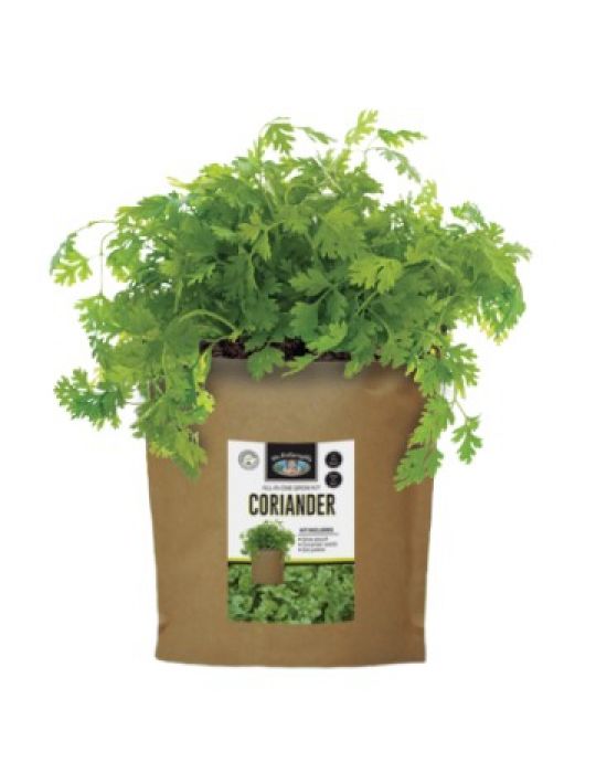 Coriander - Grow Pouch Kit