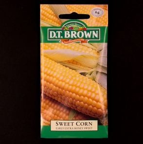 Sweet Corn - Early Extra Honey Sweet