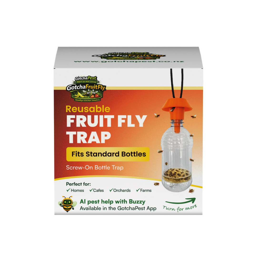 Reusable Fruit Fly Trap (Screw-On Bottle Trap)