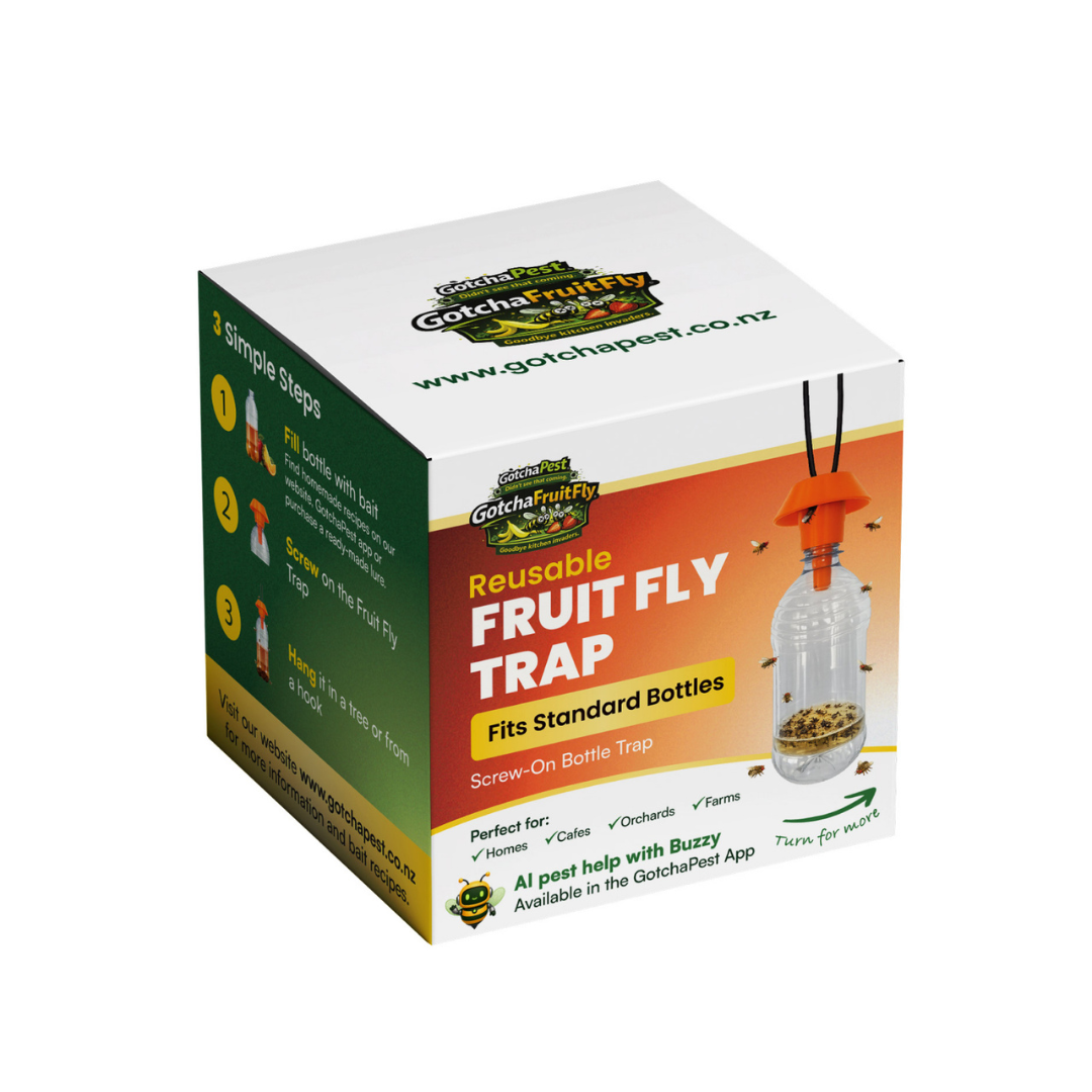 Reusable Fruit Fly Trap (Screw-On Bottle Trap)
