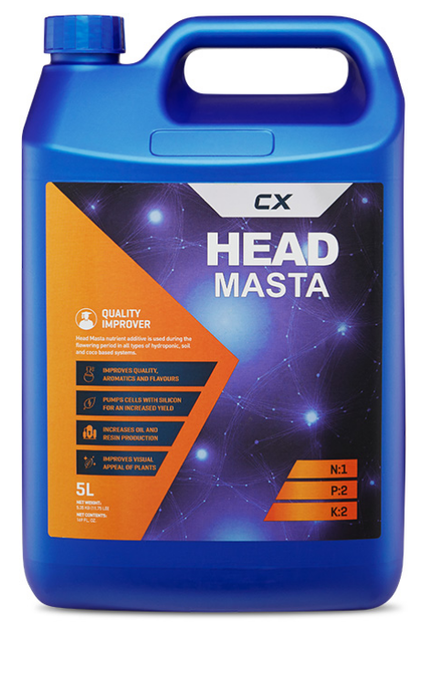 CX - Head Masta