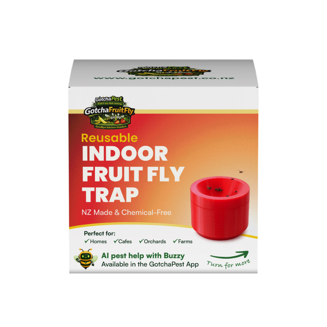 Indoor Reusable Fruit Fly Trap – NZ-Made & Chemical-Free