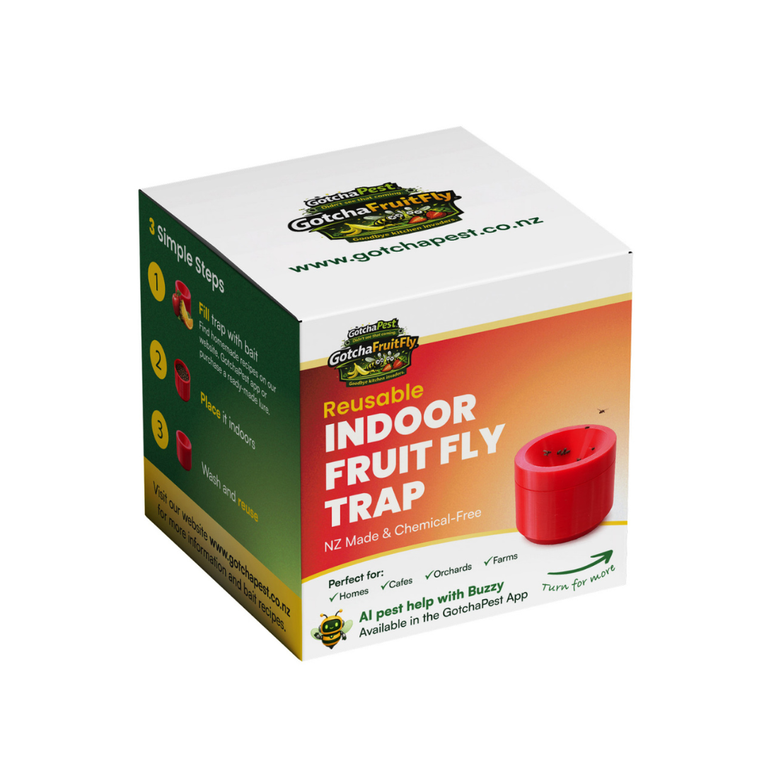 Indoor Reusable Fruit Fly Trap – NZ-Made & Chemical-Free
