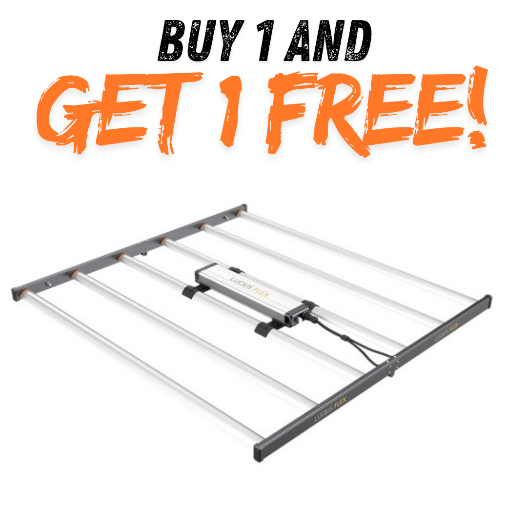 Lucius Flex 6 Bar LED 645w