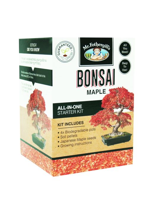 Bonsai Starter Kit - Maple