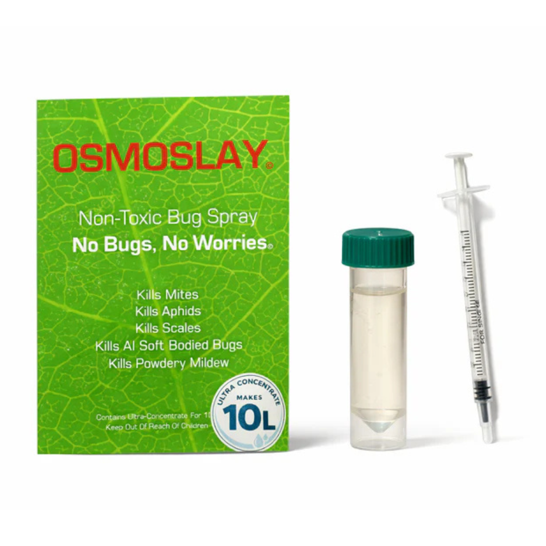 Osmoslay Value Refill Pack