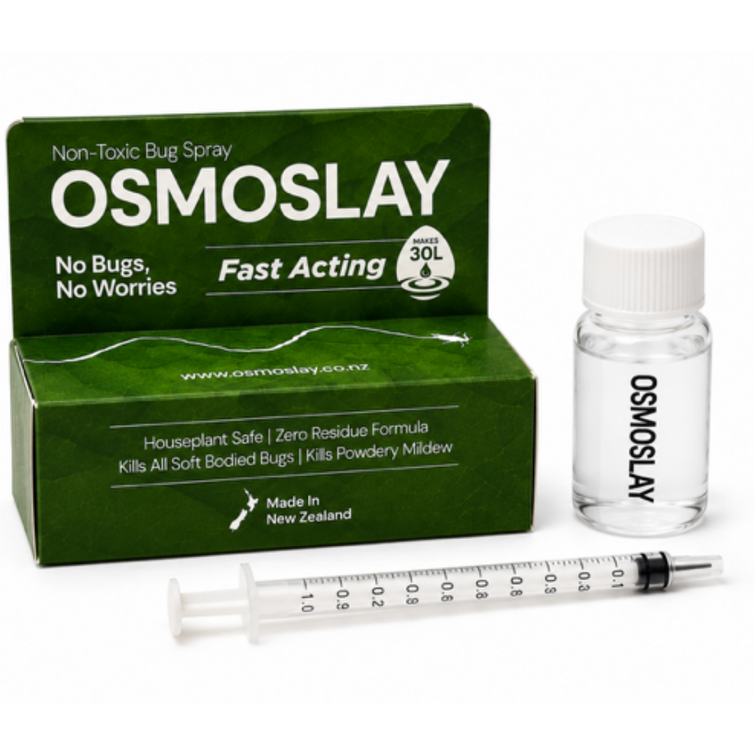 Osmoslay Value Refill Pack