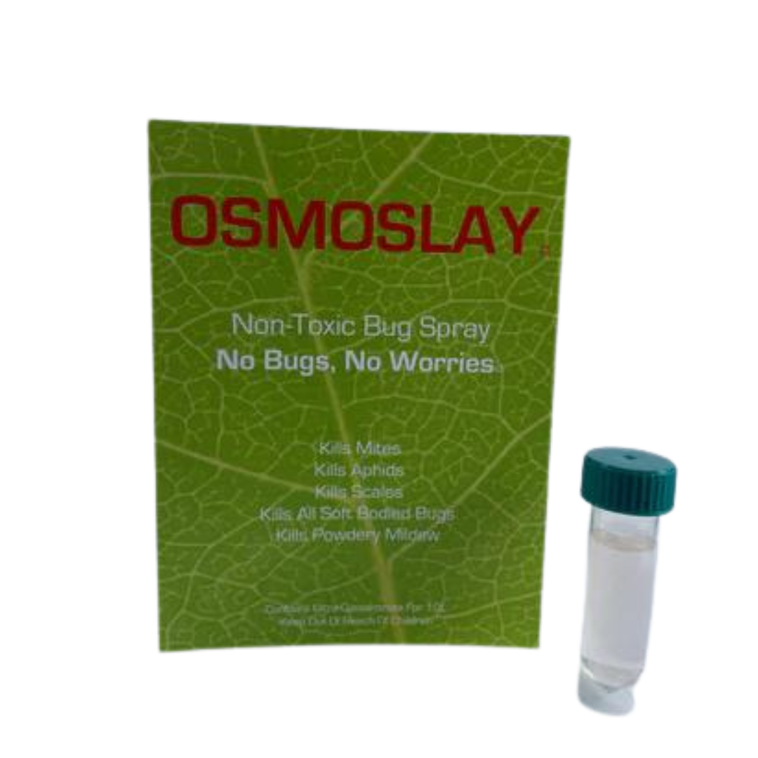 Osmoslay Value Refill Pack