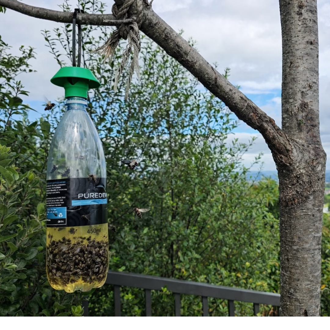 Reusable Outdoor Fly Trap