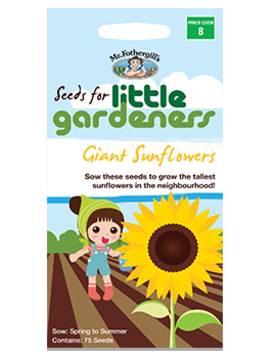 Little Gardeners Giant Sunflower