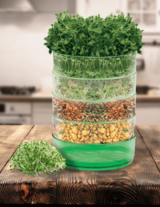 Kitchen Seed Sprouter