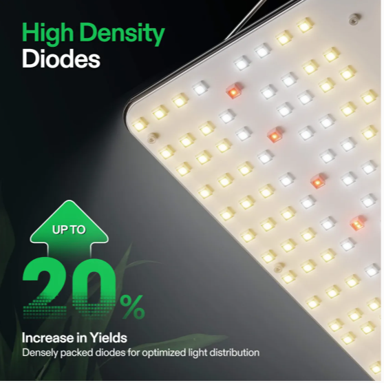 Vivosun VS2000 LED Light Board - 200w