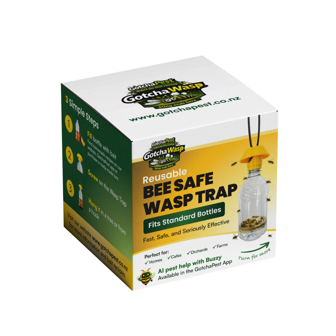 Reusable Bee Safe Wasp Trap