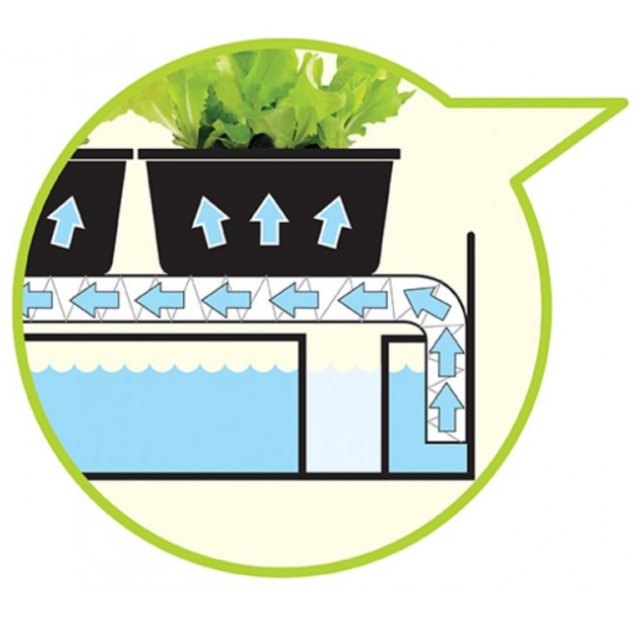 Grow Light Garden for Microgreens, Salad Greens & Herbs