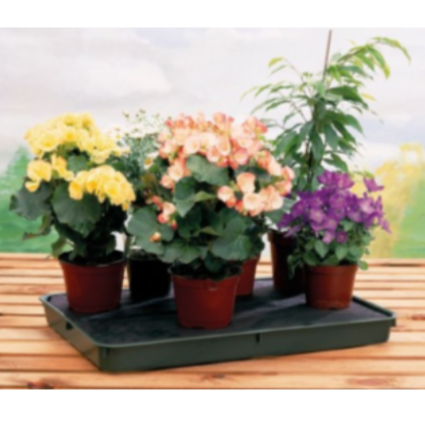 Self Watering Trays - Small