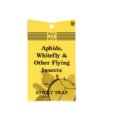 Bugs4Bugs Yellow Sticky Fly Traps