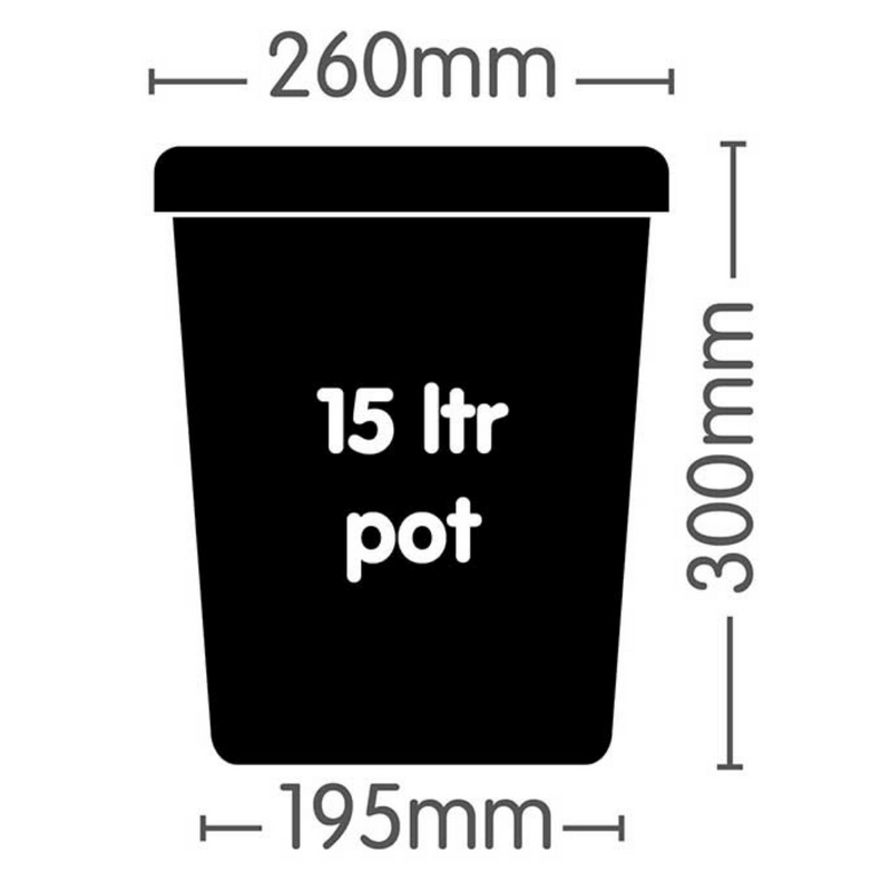 Autopot 15L Pot - Single