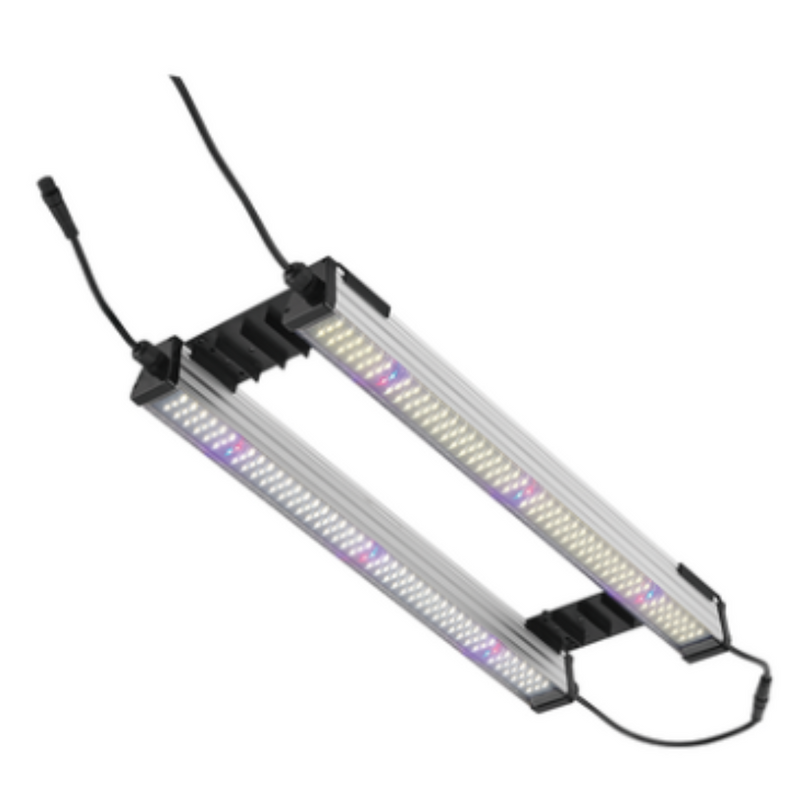 Propagation Twin Bar LED LIght