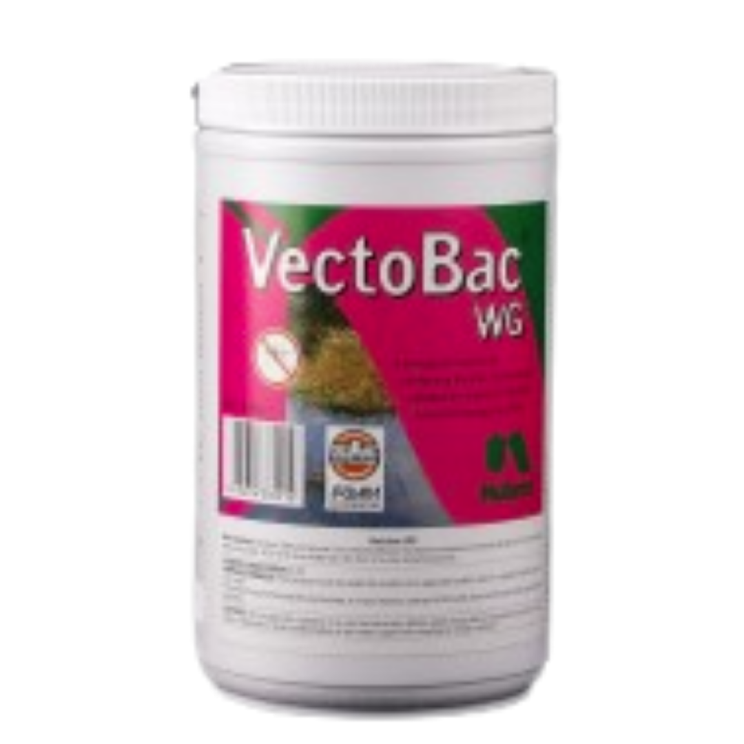 VectoBac Fungus Gnat Control
