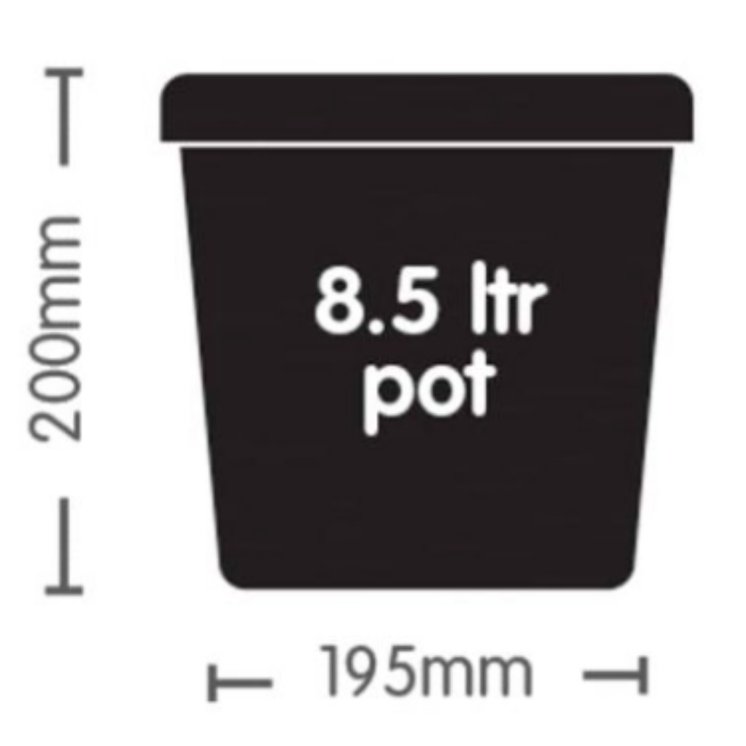 Auto8 Autopot Watering System
