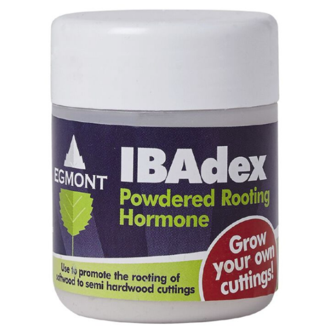 IBAdex Powdered Rooting Hormone - 25g