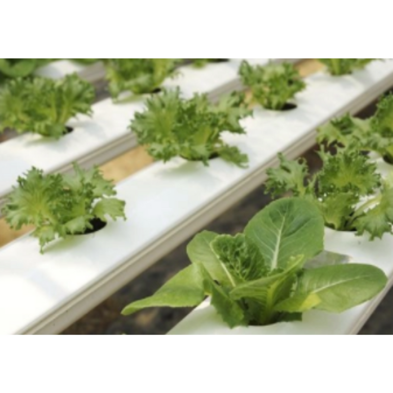 Hydroponic Complete Growing Kit